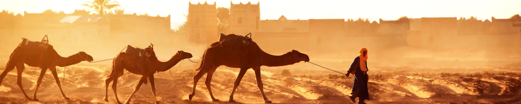 https://viajesocana.es/viajes/assets/upload/d1086.webp