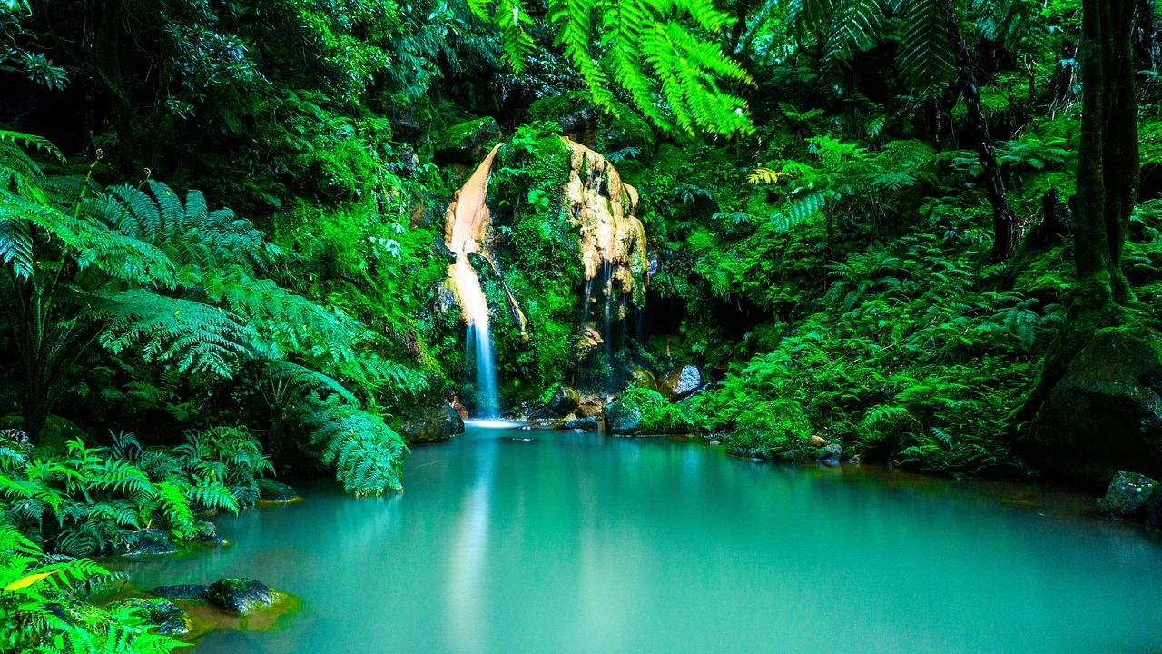 https://viajesocana.es/viajes/assets/upload/d1855.webp